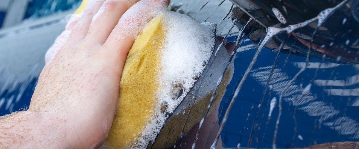 Close-up of a sponge against dark car paintwork