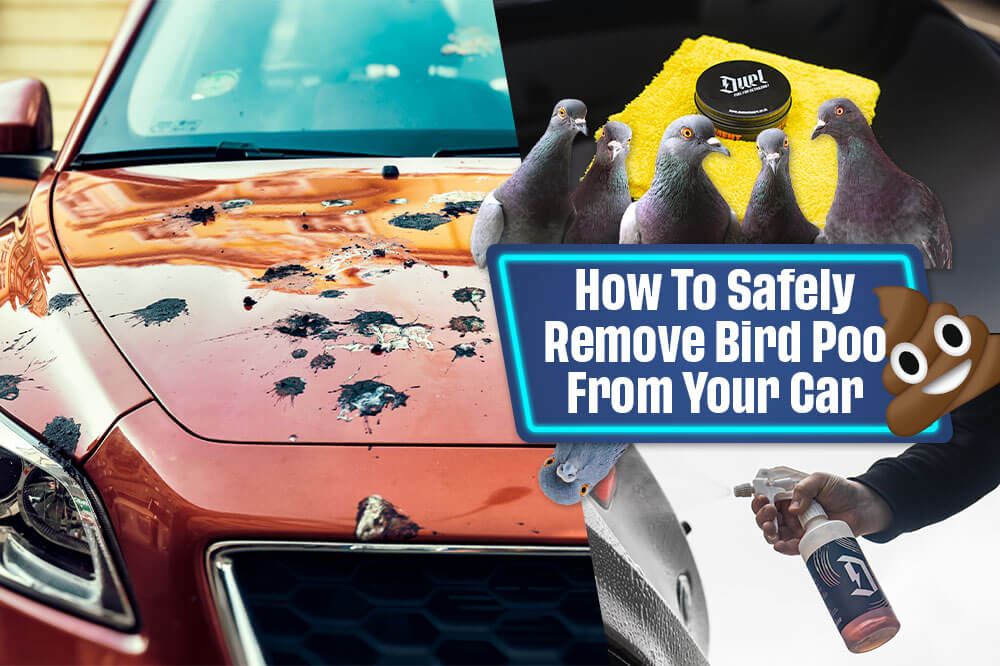 How to safely remove bird poo from your car