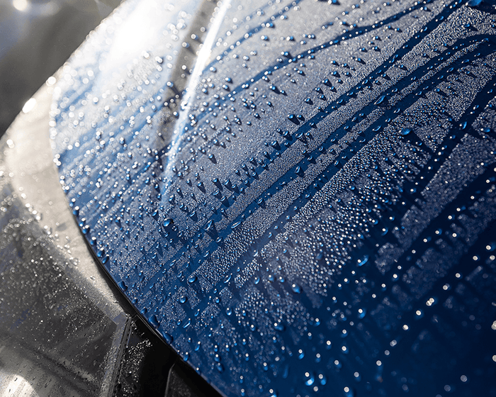 Flex Polymer Sealant